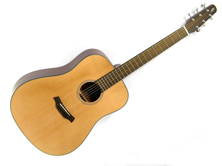 Gitara L1LSD (1)