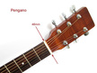 Gitara akustyczna Pengano PF30 (3)